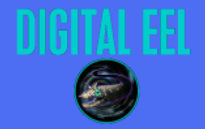 Digital Eel company logo