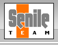 Senile Team company logo